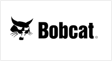 Bobcat